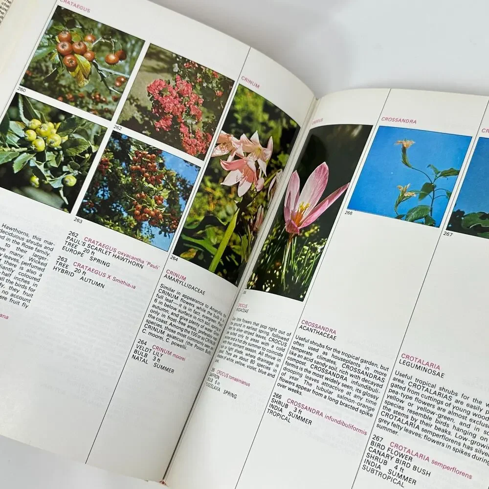 What Flower Is That? Stirling Macoboy 1973 Hardcover Photography Flower ID Book